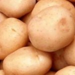 Сорт картофеля пермский Сорт картофеля пермский